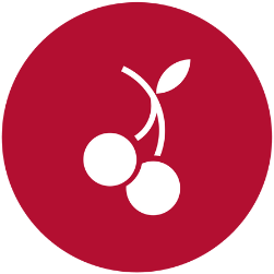 gelatina icono